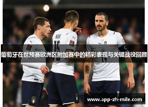 葡萄牙在世预赛欧洲区附加赛中的精彩表现与关键战役回顾