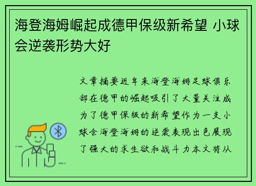 海登海姆崛起成德甲保级新希望 小球会逆袭形势大好 海登海姆崛起成德甲保级新希望 小球会逆袭形势大好